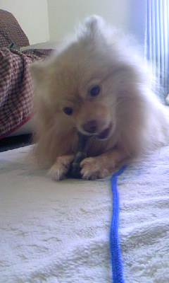poron_blog.1109